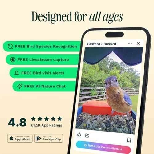 Birdwatching app features displayed on a smartphone showing a bird.