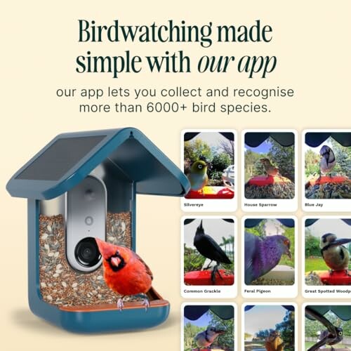 Birdwatching app promotion with birdhouse camera and bird images.