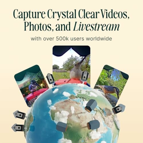 Graphic showing smartphones on a globe capturing videos and livestreams.