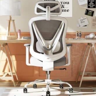 HOLLUDLE Ergonomic Mesh Office Chair
